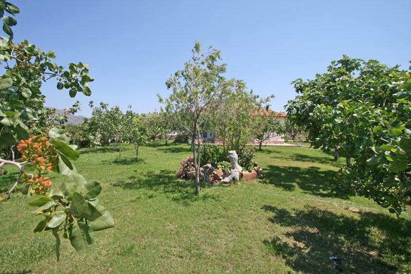 חאניה Villa Eleana מראה חיצוני תמונה